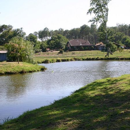 Gite 4kms plage grand domaine privé lacs natura 2000 Lit-et-Mixe Esterno foto