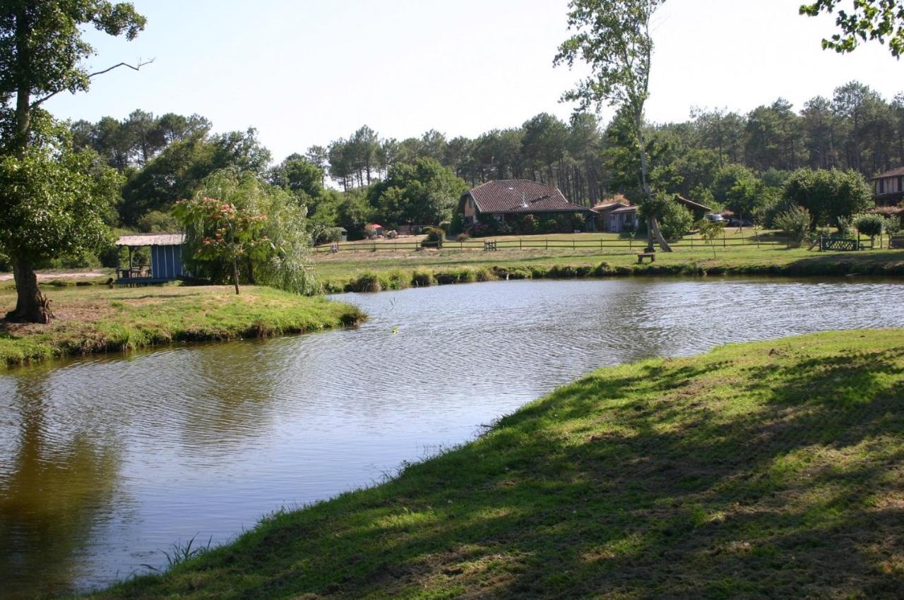 Gite 4kms plage grand domaine privé lacs natura 2000 Lit-et-Mixe Esterno foto